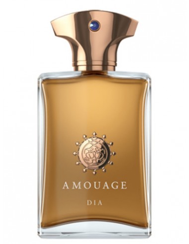 Amouage Dia Man Eau de Parfum 100 ml...