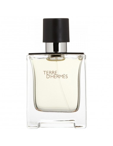 Hermes Terre D'Hermes Limited Edition Eau de Toilette 100 ml Spray - TESTER